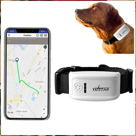 best rfid animal tracking system|best dog tracking devices 2022.